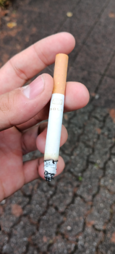 Sales- Benson Hedges Gold Special Filter- 1 Carton (10 Packs) photo review